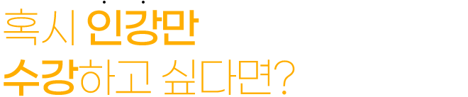 혹시 인강만 수강하고 싶다면?