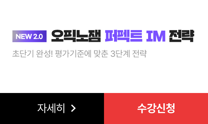 NEW 2.0 오픽노잼 퍼펙트 IM 전략