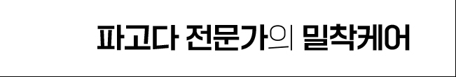 파고다 전문가의 밀착케어